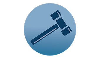 Federal Court Litigation Section