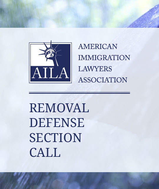 Removal Defense Section Call (April 2024)