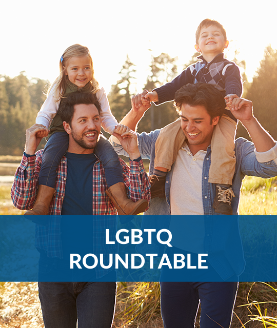 Respectfully and Effectively Advocating for LGBTQ+ Clients