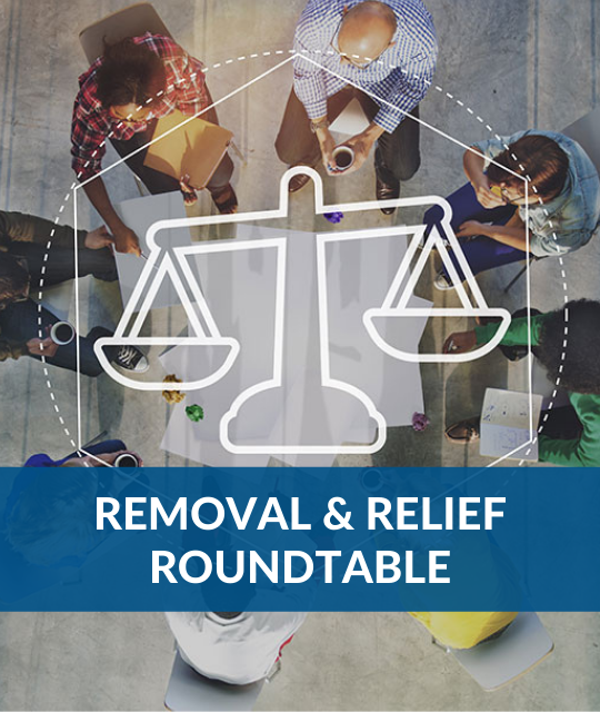 Advocating for Prosecutorial Discretion in Light of the EOIR Director's Memo on DHS Enforcement Priorities
